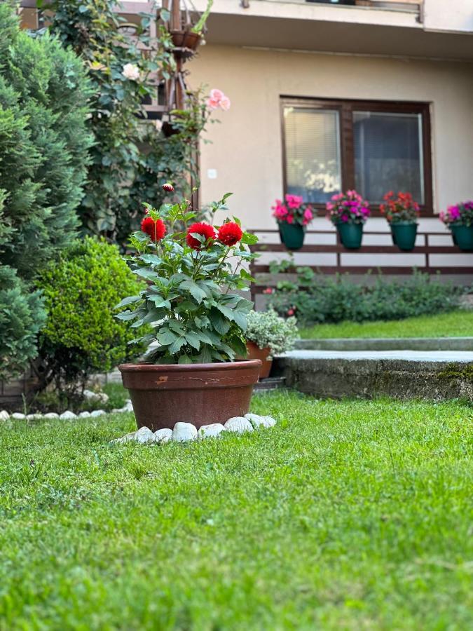 City Centar Apartman Sarajevo Bagian luar foto